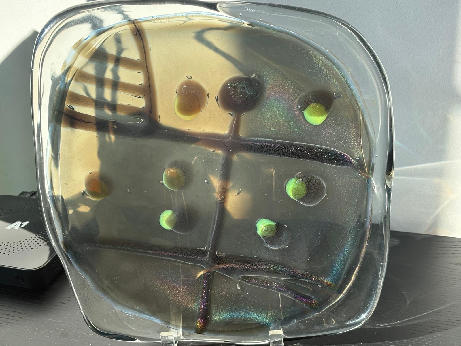 Signed Murano art glass plate attributed to Alfredo Barbini and Raoul Goldoni